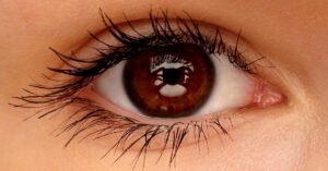 7 Essential Nutrients for Better Eye Health_ Boost Vision